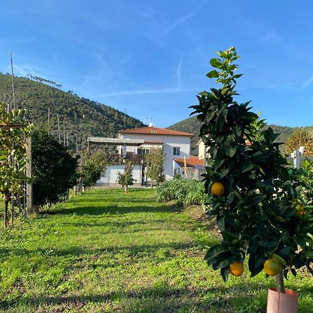 La Tenuta Di Eva Pisa Kültér fotó