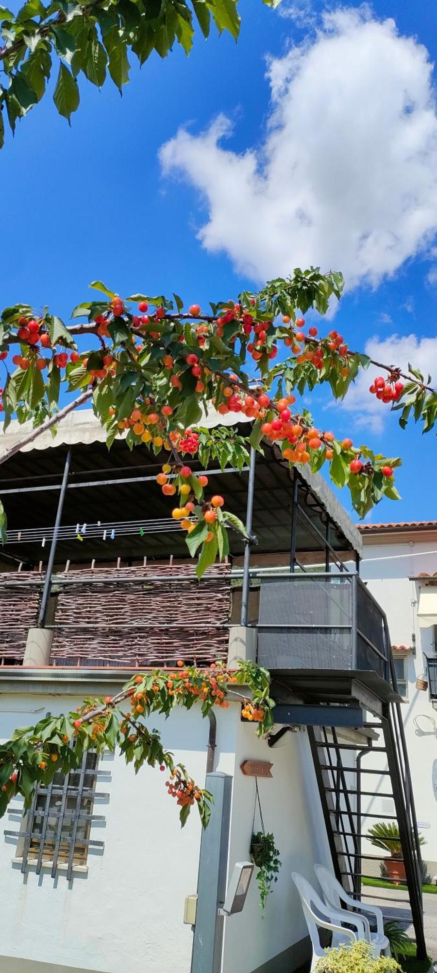 La Tenuta Di Eva Pisa Kültér fotó