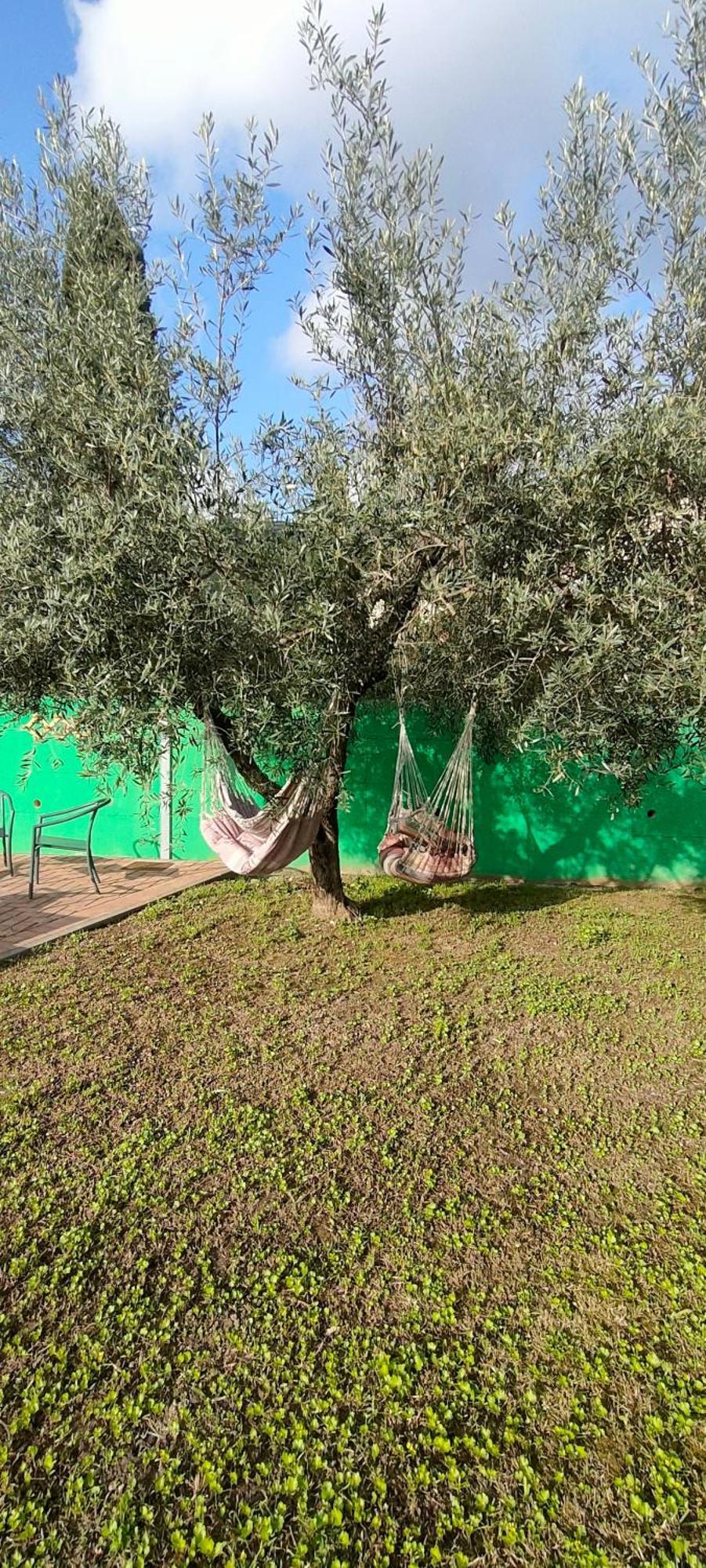 La Tenuta Di Eva Pisa Kültér fotó