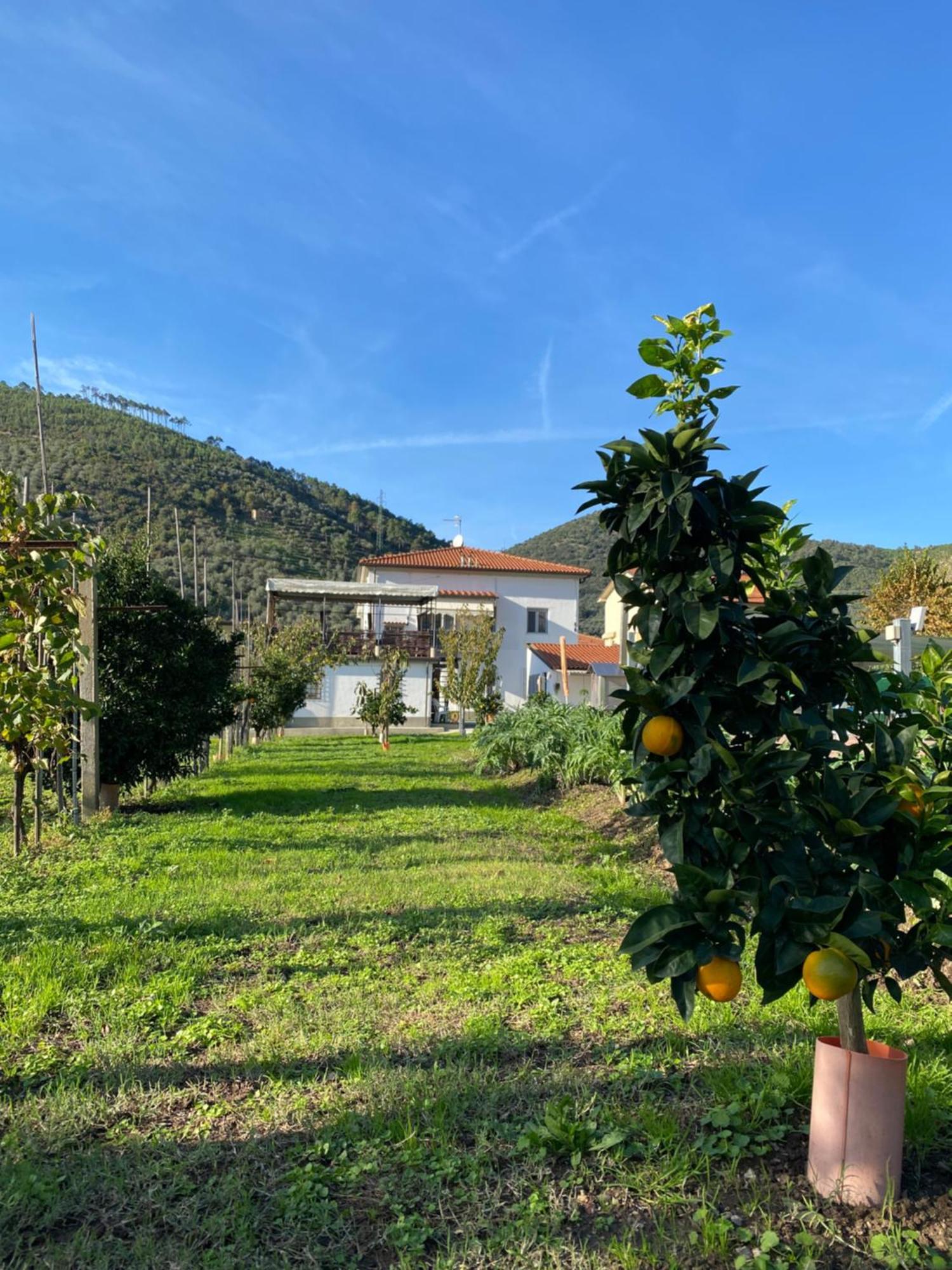 La Tenuta Di Eva Pisa Kültér fotó