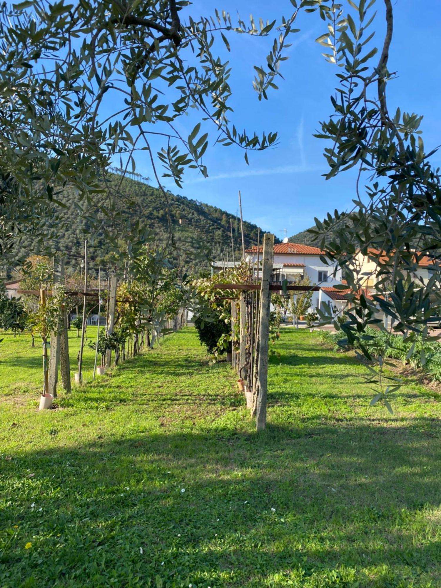 La Tenuta Di Eva Pisa Kültér fotó