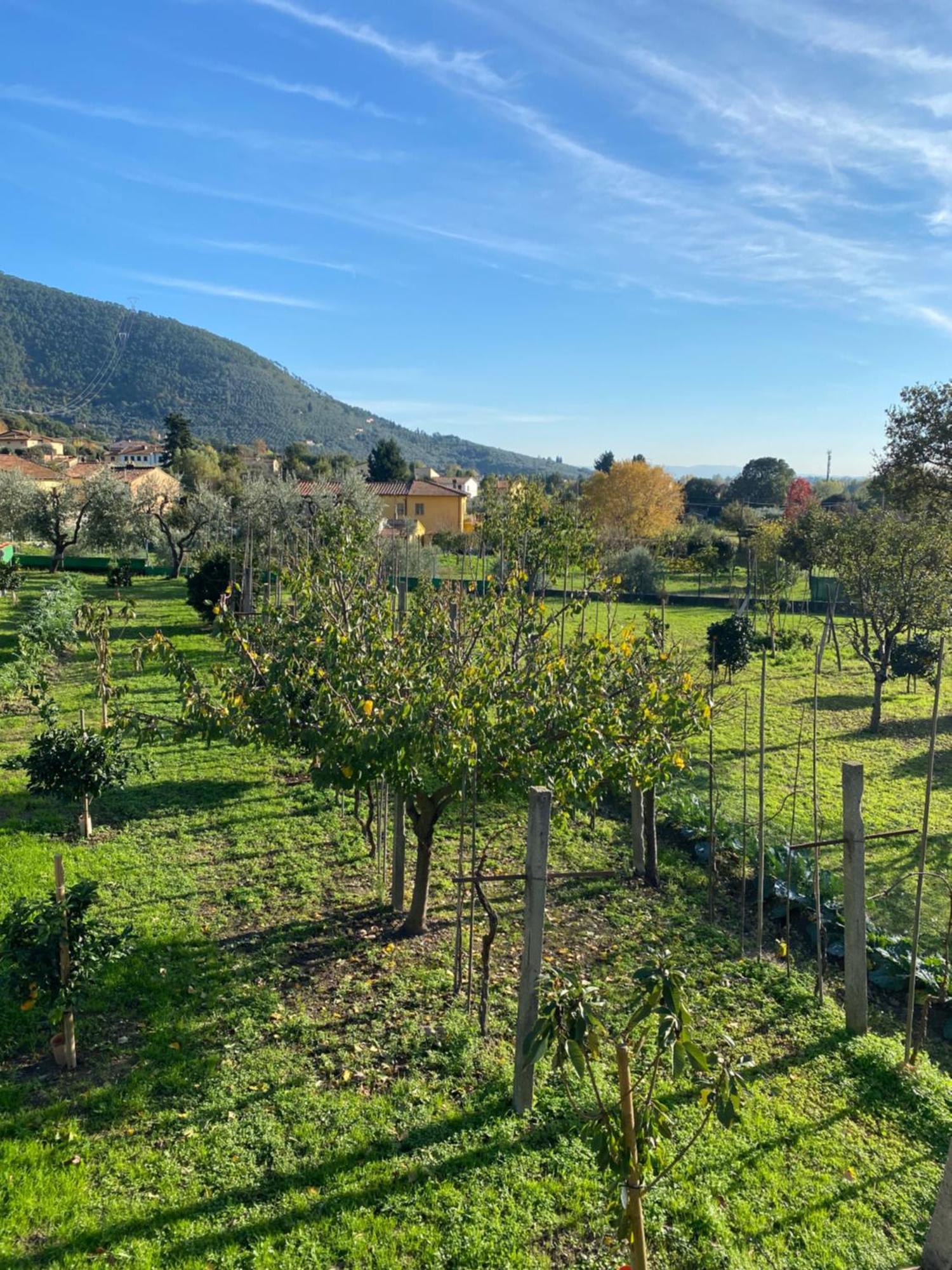 La Tenuta Di Eva Pisa Kültér fotó