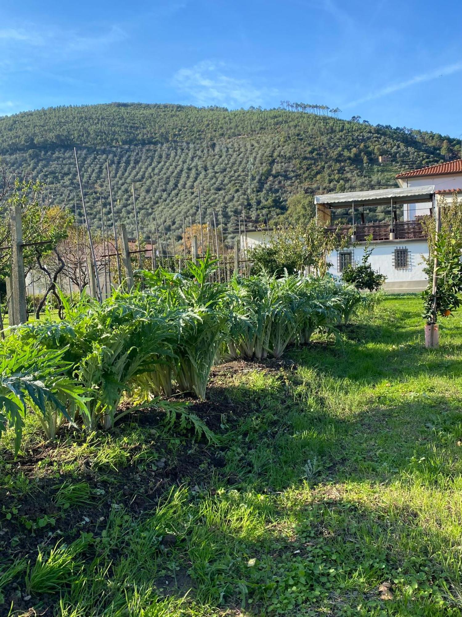 La Tenuta Di Eva Pisa Kültér fotó