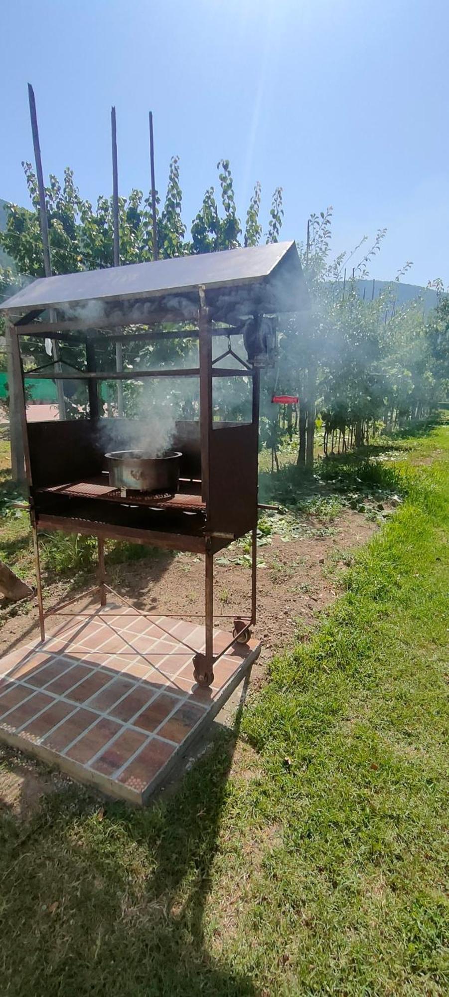 La Tenuta Di Eva Pisa Kültér fotó