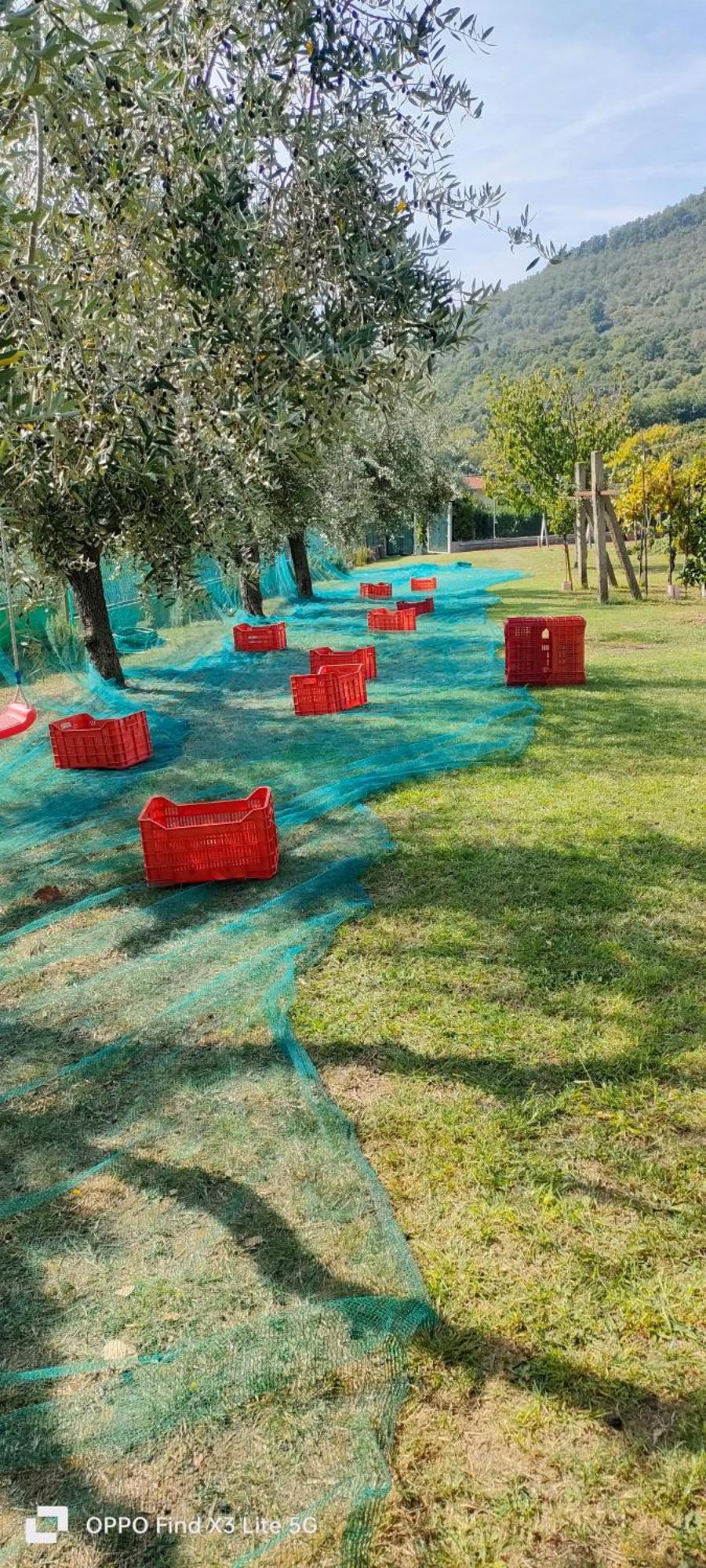 La Tenuta Di Eva Pisa Kültér fotó